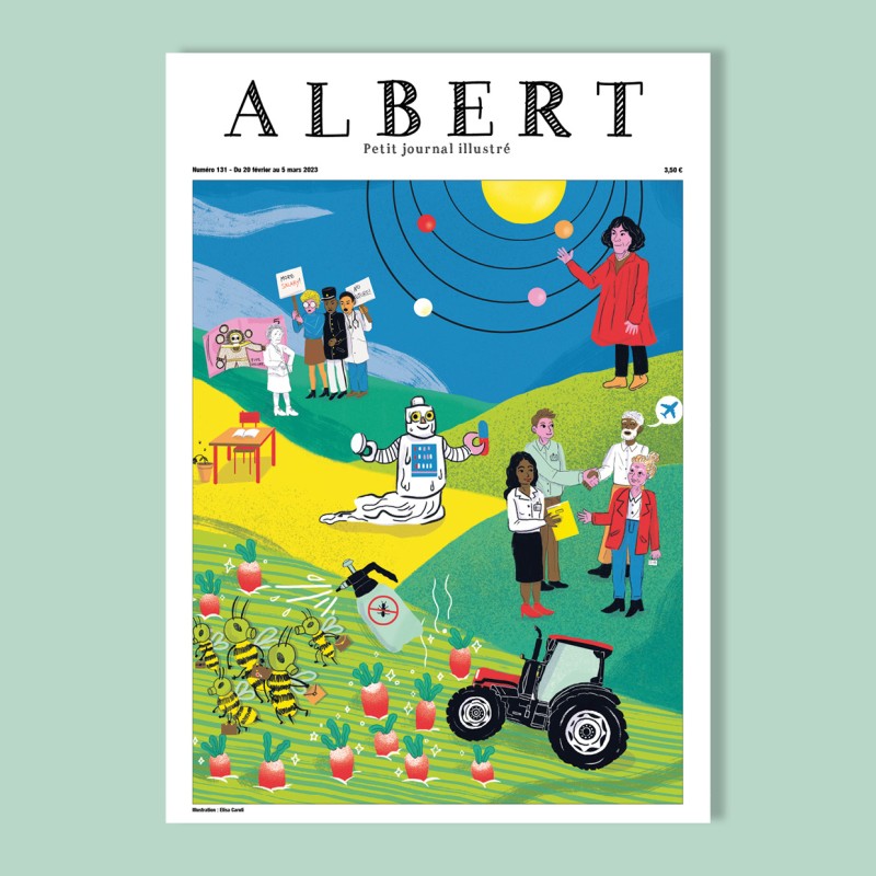 Albert n°131