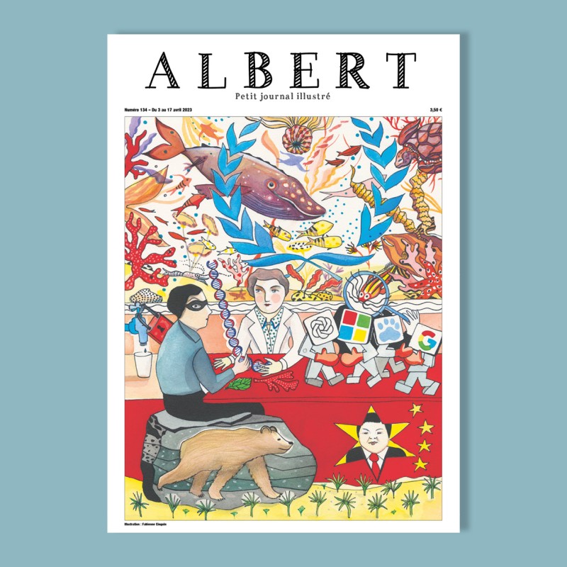 Albert n°134